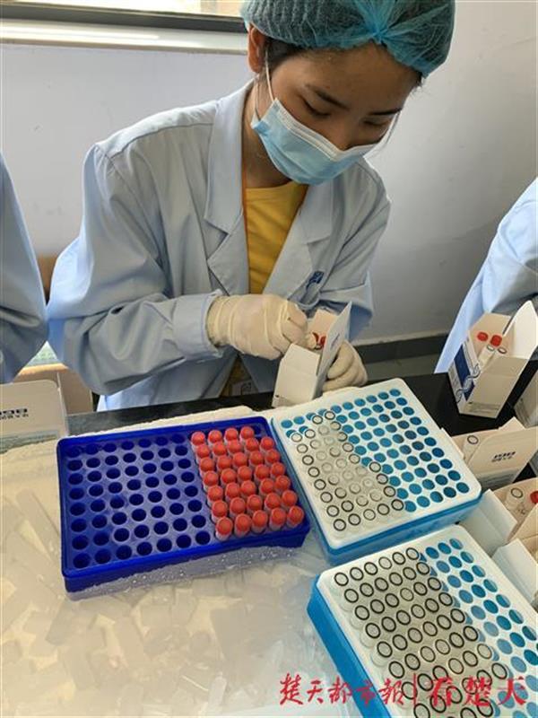 这次实习有意义！20名大学生助力核酸检测试剂国际订单生产