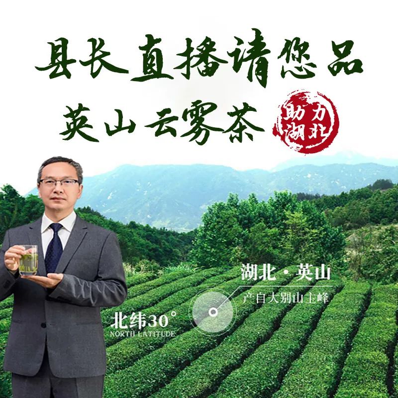 直播预告县长化身带货主播为英山云雾茶代言