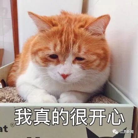 2020年黄冈市中考排_关注黄冈市2020年度考试录用公务员拟录用(2)