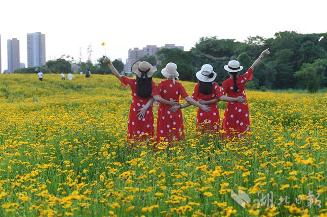 光谷花海成为网红之地