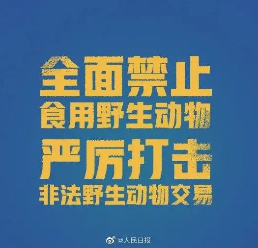 黄石全面禁止非法猎捕,交易,运输 和食用野生动物