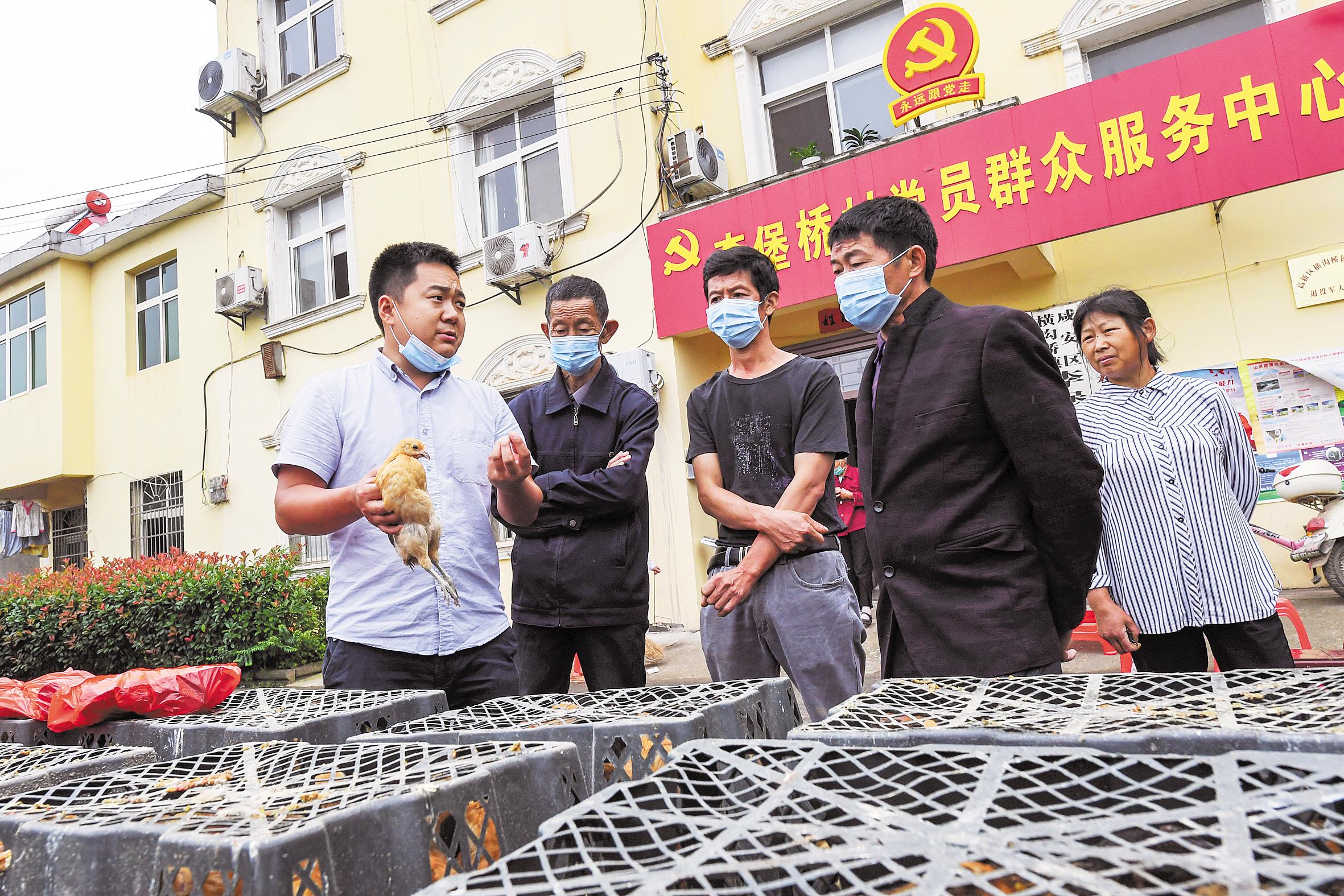 5月25日,合作社负责人张亮(左一)在咸宁市咸安区横沟桥镇李堡桥村指导