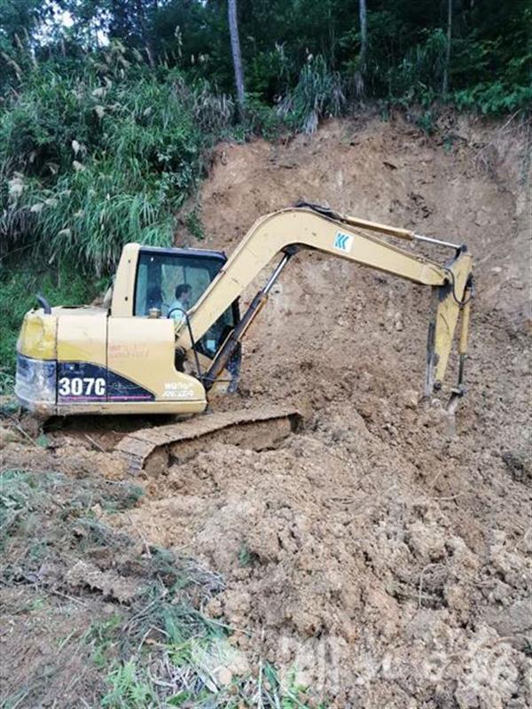 |湖北林业生产自救见闻：让“绿色”不在洪涝中褪色