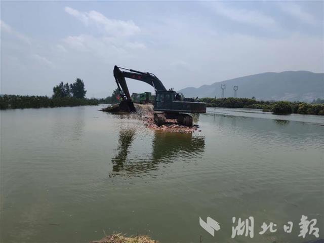 |干得漂亮！富河干堤葵赛湖下垸溃口堵住了！
