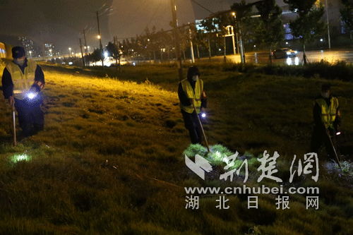 |如何掌握防汛技能？洪山区56岁护堤工帐篷教学