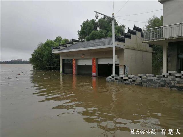 |防汛形势严峻，江西九江一镇政府呼吁乡亲回家抗洪，获得积极响应