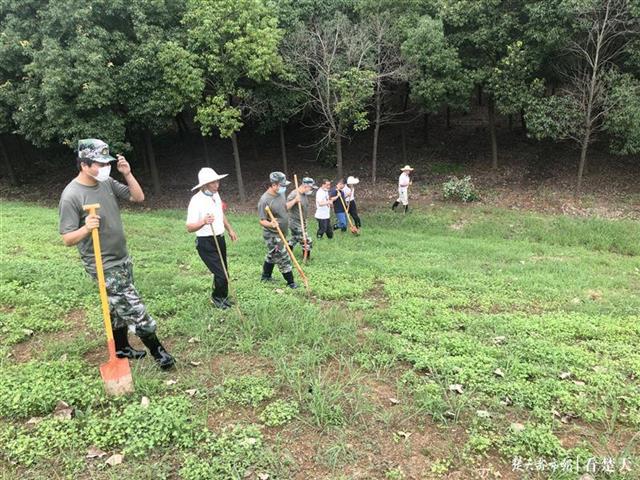 |水退人不退，这些熟悉的身影守护武汉开发区