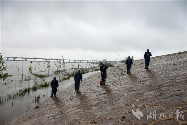 |组图丨重启百日，武汉乘风破浪