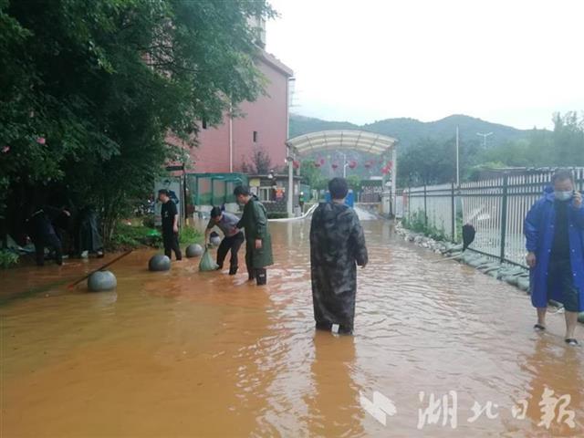 |黄石110名社区第一书记大汛当前再出发