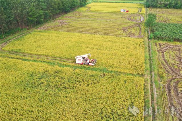 |咸安灾后生产自救忙