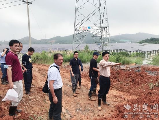 |黄石市国资公司：闻“汛”而动、向险而行，彰显国企担当