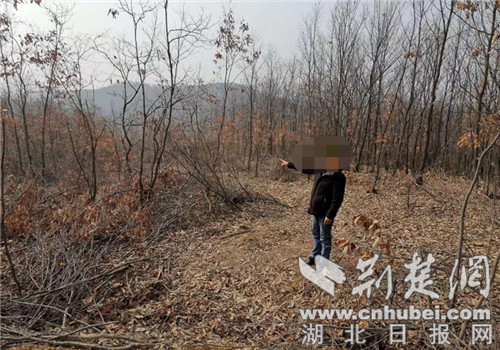 |宜城森林公安侦破一起重大滥伐林木案