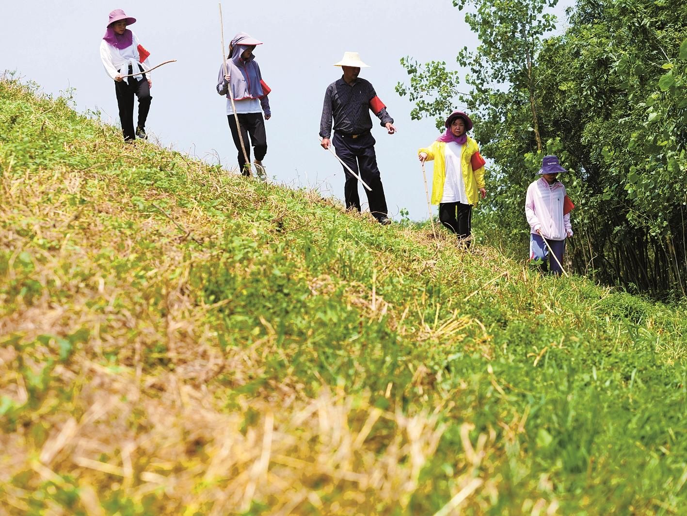 |持续超过保证水位 富河形势依然严峻“老天爷打不倒我们”