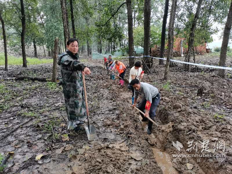 |湘口街：党建引领，防汛一线绽放“四色之光”