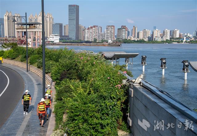 |武汉维持高水位