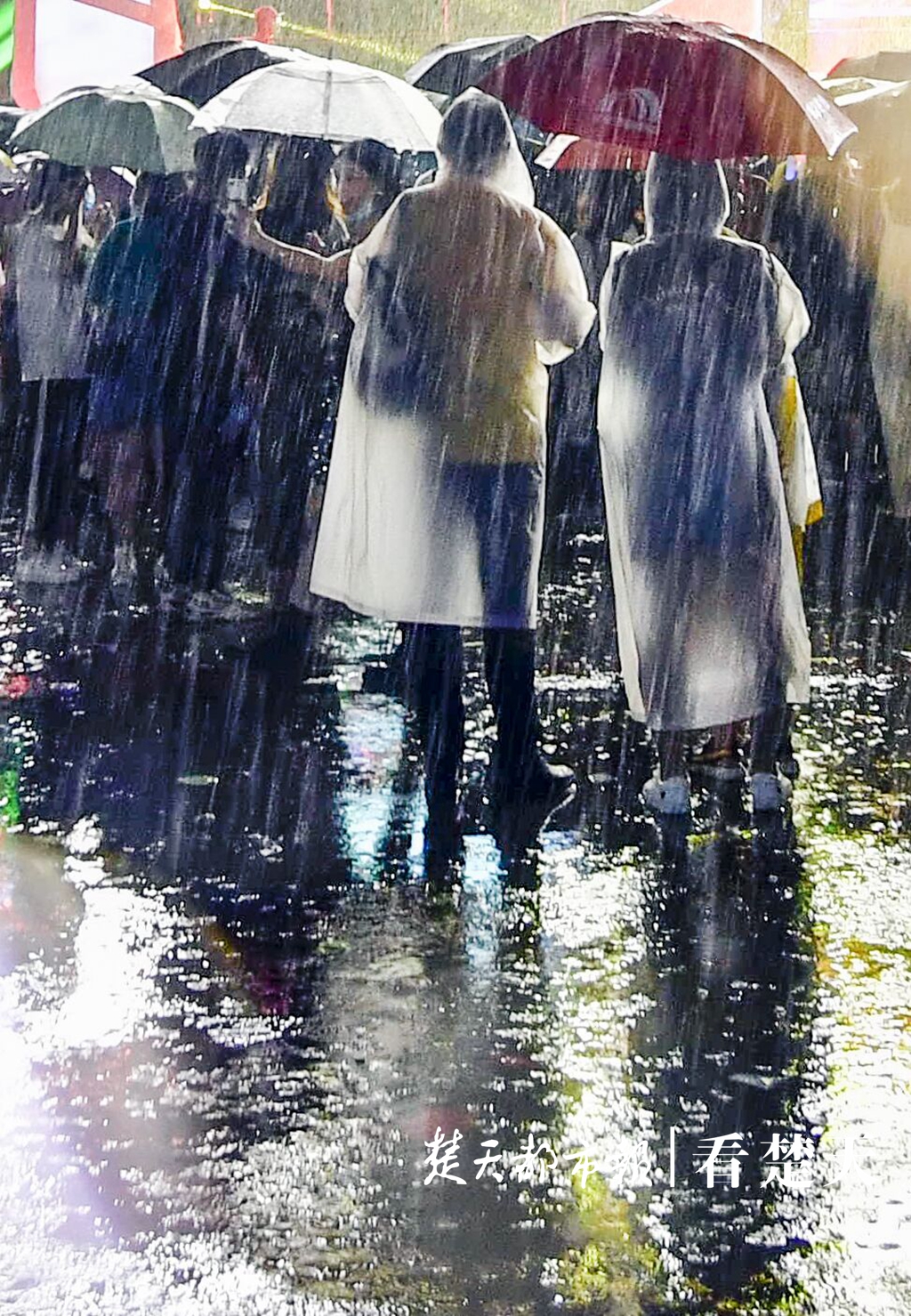 |此时武汉狂风大作，未来几小时，这些地方有雷电和降雨