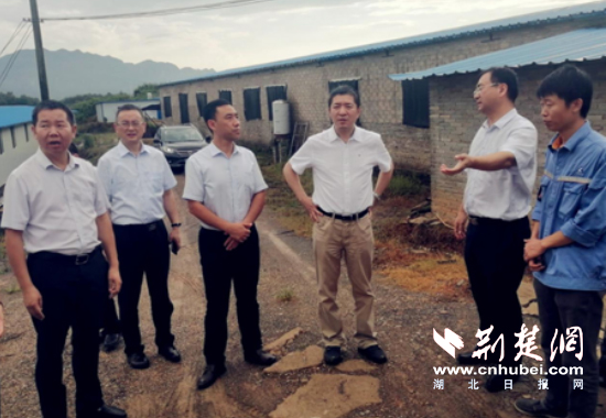 |中铝集团党组书记、董事长姚林一行赴阳新县 调研指导脱贫攻坚工作