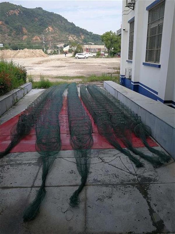 |江边的大树上系了多根绳子，民警凌晨蹲守抓获3名非法捕鱼者