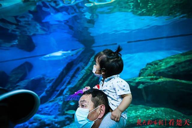 |武汉海昌极地海洋公园迎来孝感70人旅游团