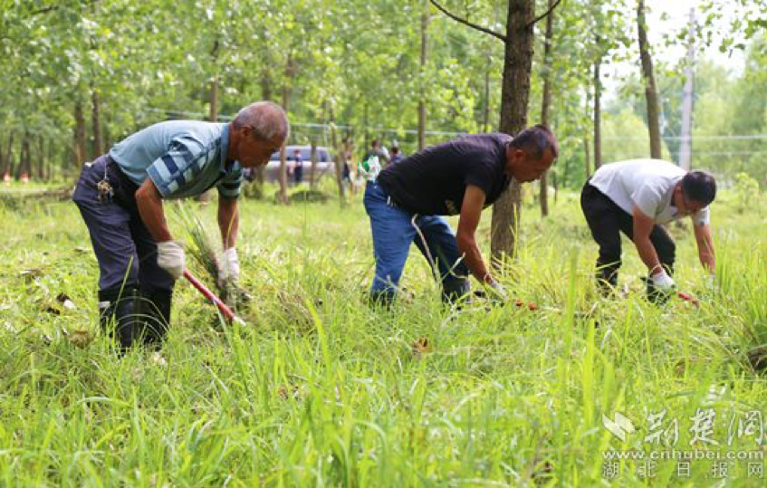 |黄冈市黄州区：严防死守 决战长孙堤