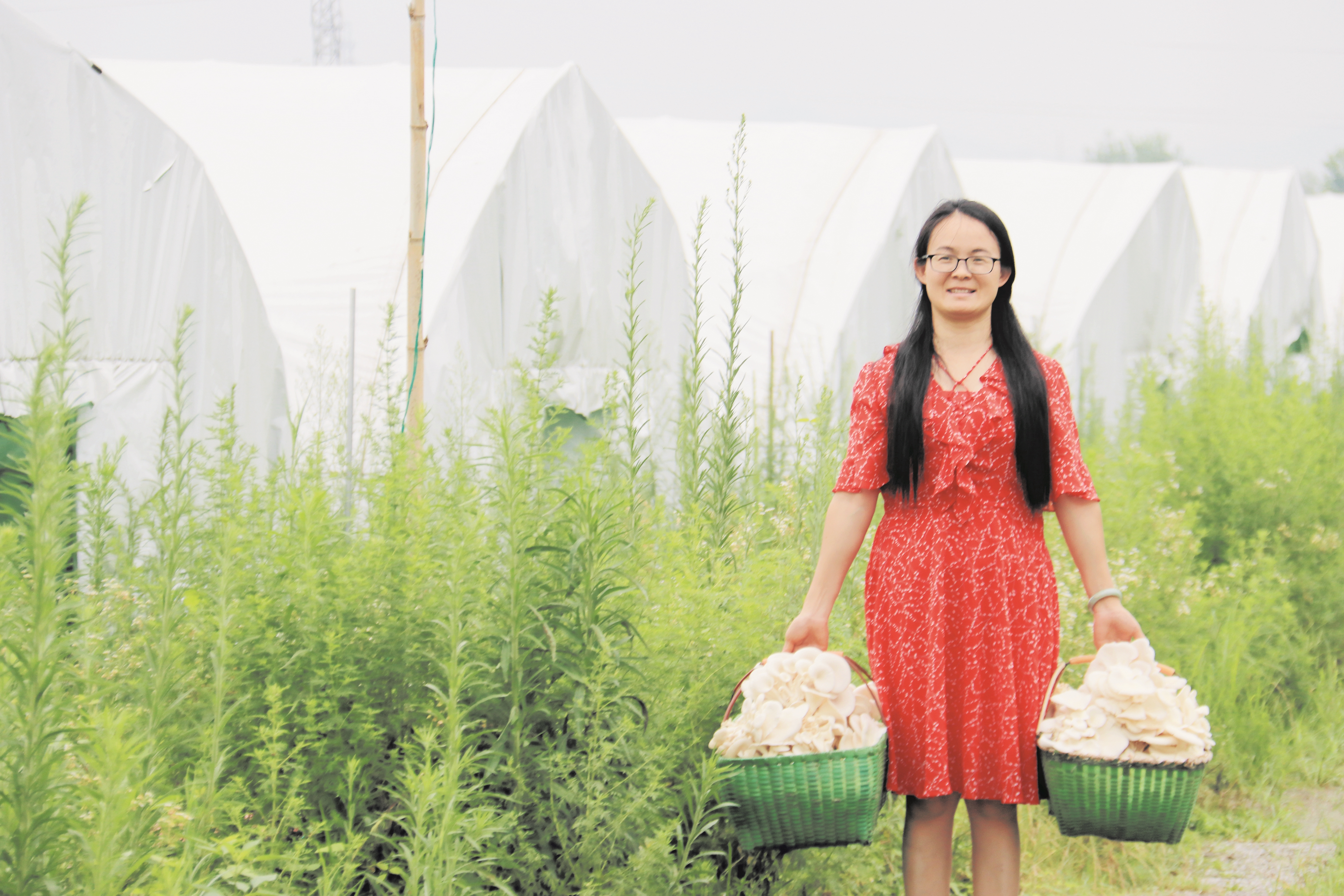 |年年高票当选奔走57趟供菜自筹百万建大棚 女村官铺就山村幸福路