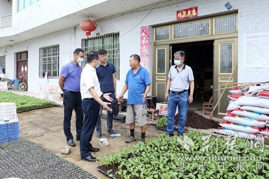 | 黄石市税务局：驻村救灾践初心 结对帮扶担使命