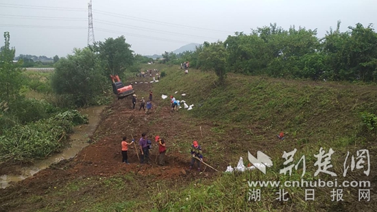|黄石开发区·铁山区：兄弟村防汛一线中谱写兄弟情