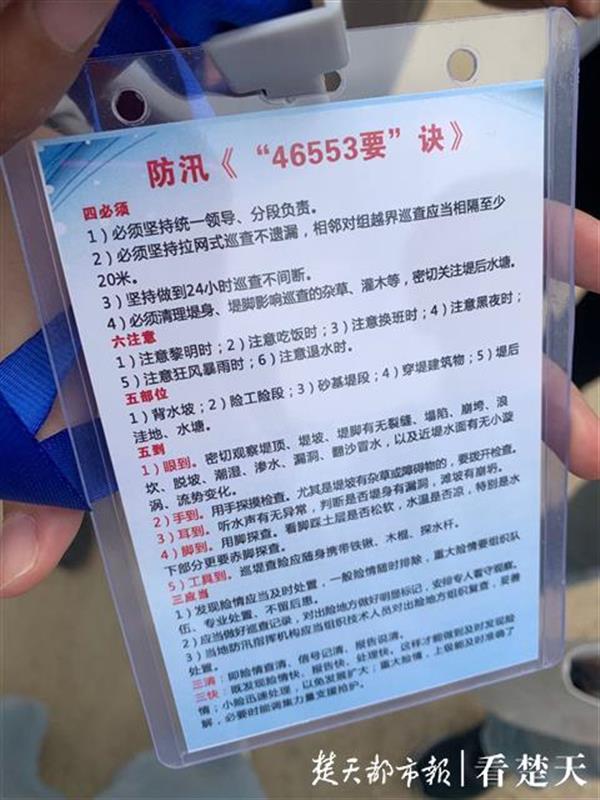 |武汉这段堤防一天发现13处险情，防汛专家6小时内制定出方案并处置完毕