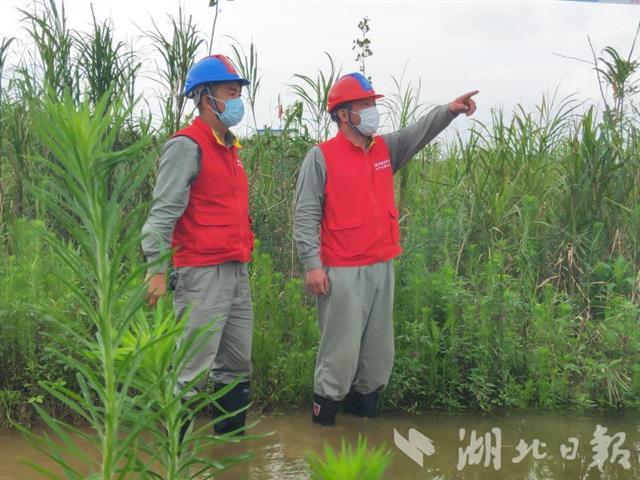 |张勇：“慢哥”巡堤护电记（图）