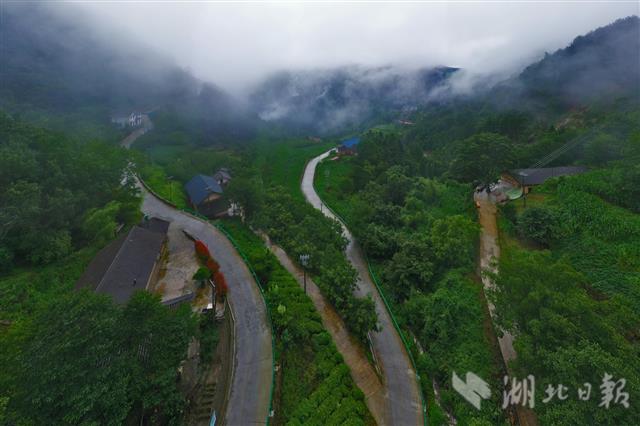 |生态廊道托起深山小康梦（组图）