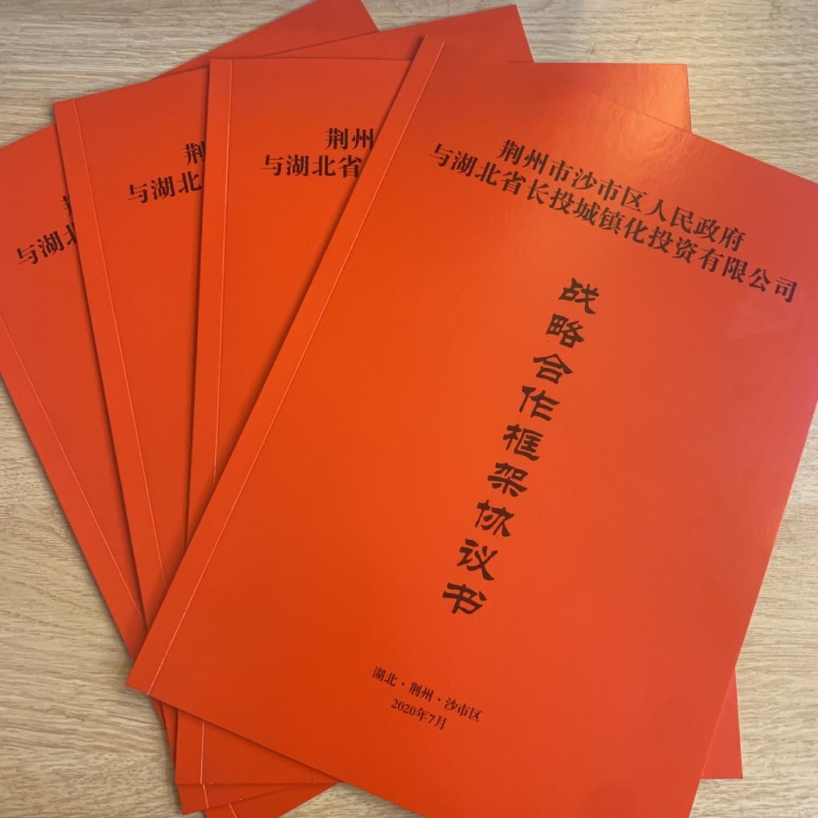 |长投城镇化公司计划投资6.04亿 助推荆州市沙市区乡村振兴和生态文明建设