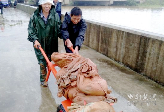 |【战罢疫情再出发】王太社区第一书记邓勇：经历过疫情大考，有信心安然度汛