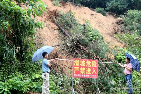 |大冶灵乡多措并举预防地质灾害发生
