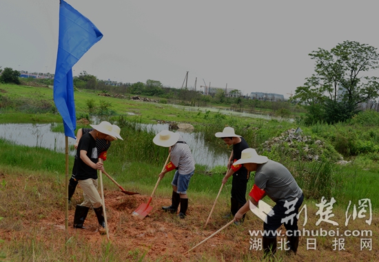 |黄石税务闻“汛”而动 成立首批防汛突击队