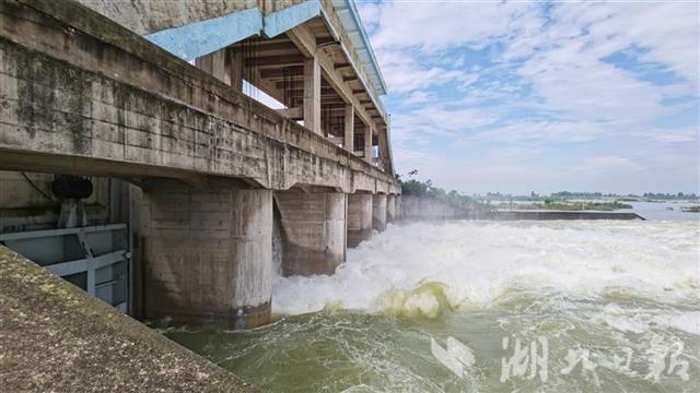 |阳新网湖分洪闸关闸 富河水位下降25厘米 网湖水位抬升1米