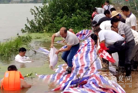 |阳新湖堤内侧出现2米宽窟窿 3名老党员跳入湖中堵“水眼”