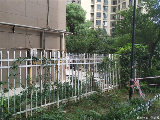 |悲！7岁男童从11楼坠落，身体遭栅栏刺穿送医后不治