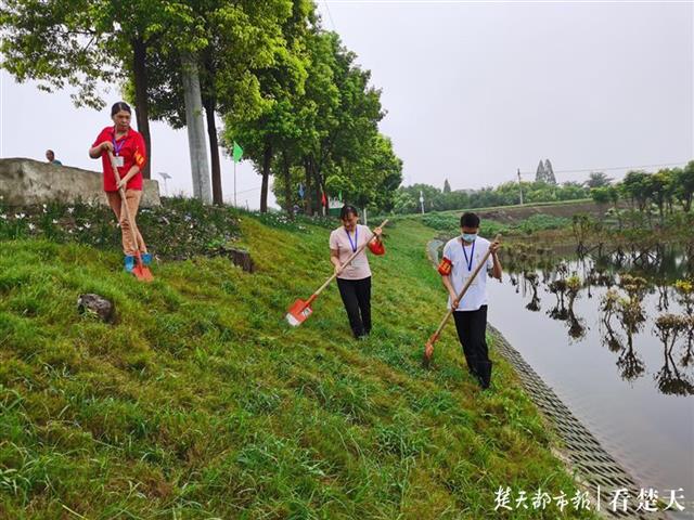 |“大堤的背面就是我的家” ，19岁小伙请缨加入防汛志愿队