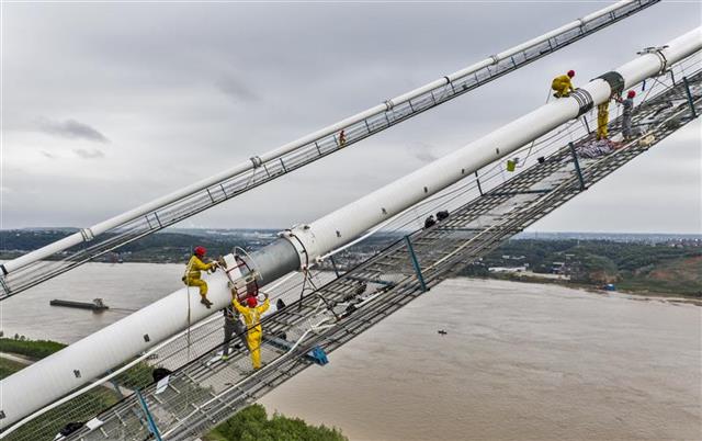 |白洋长江大桥完成缆索防腐施工