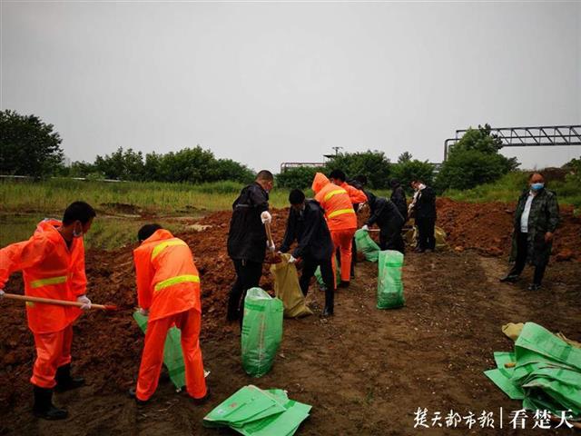 暴雨突袭江城，东西湖慈惠3000个沙袋应对汛情