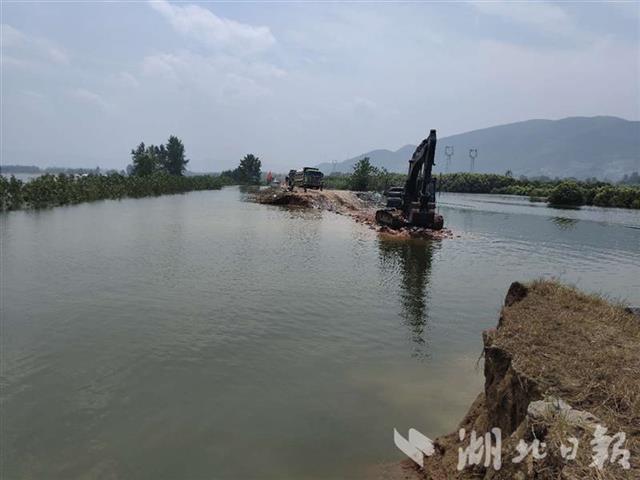 |干得漂亮！富河干堤葵赛湖下垸溃口堵住了！