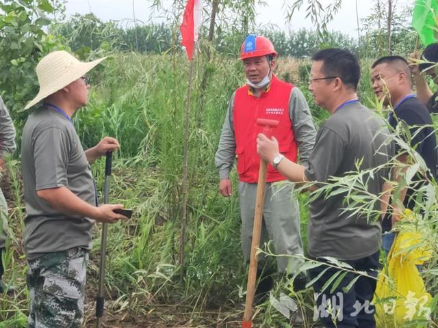 |张勇：“慢哥”巡堤护电记（图）