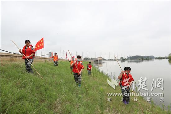 |武金堤上有群“乘风破浪的姐姐”