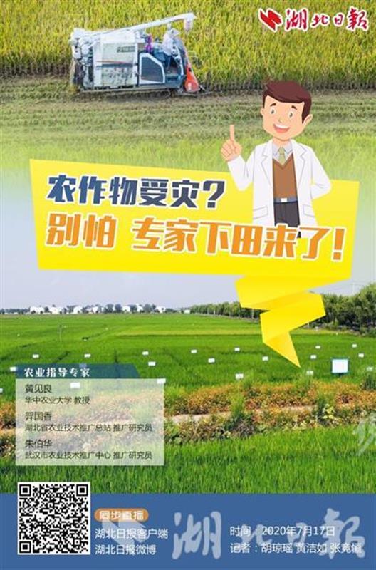 |7月17日10点手机直播省农业农村厅专家现场教你抗灾