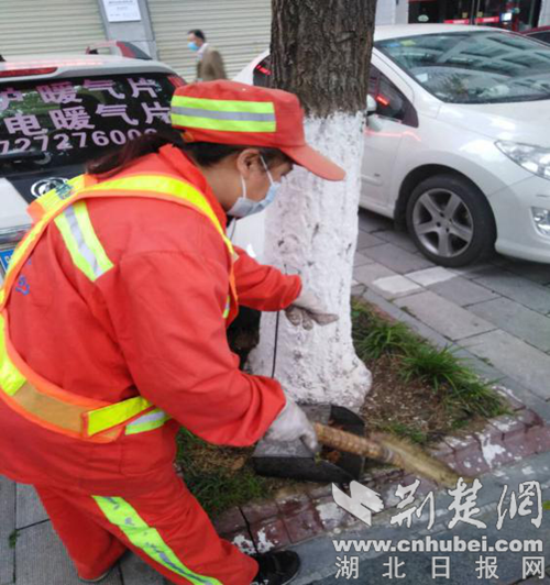 |襄阳环卫加大清扫力度 助力城市创文