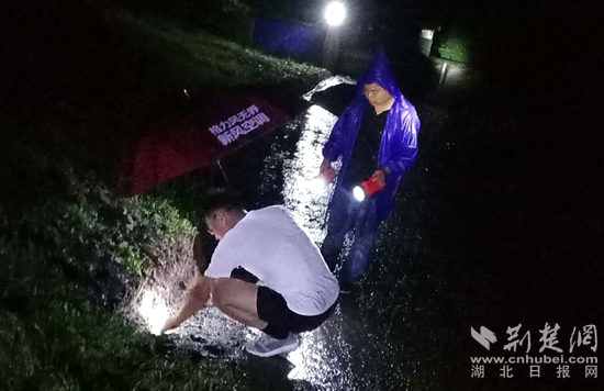 |浠水防汛一线党员：驻长江干堤 守一方安澜