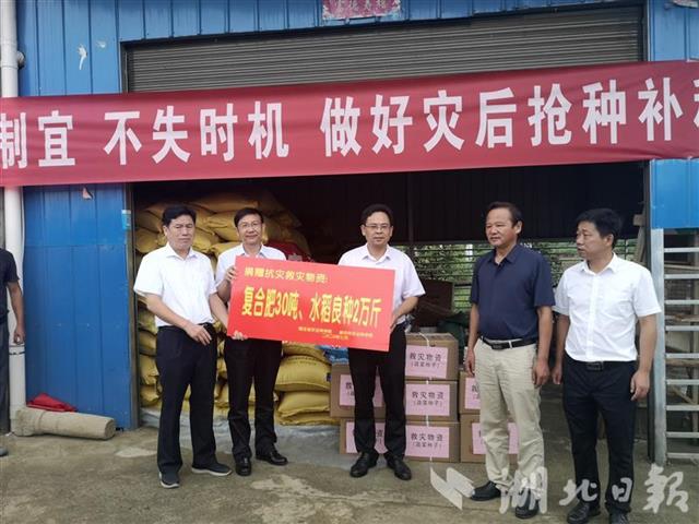 |全省4000多名农业专家奔赴抗灾保生产一线