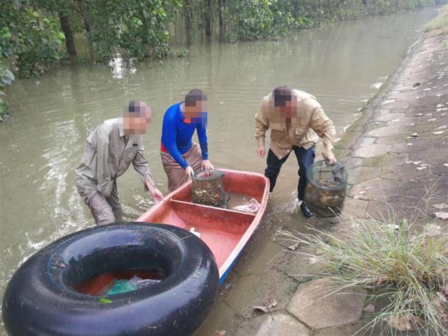 |江边的大树上系了多根绳子，民警凌晨蹲守抓获3名非法捕鱼者