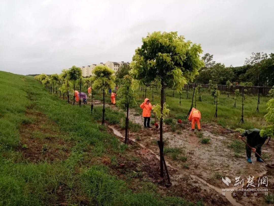 |图集：车都3400多名守堤人 用使命和担当筑牢“红色堤坝”