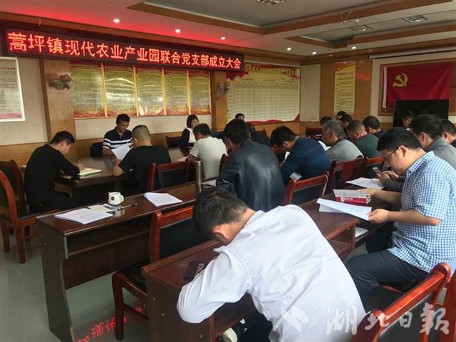 |丹江口市蒿坪镇：现代农业产业园联合党支部为企业解难题